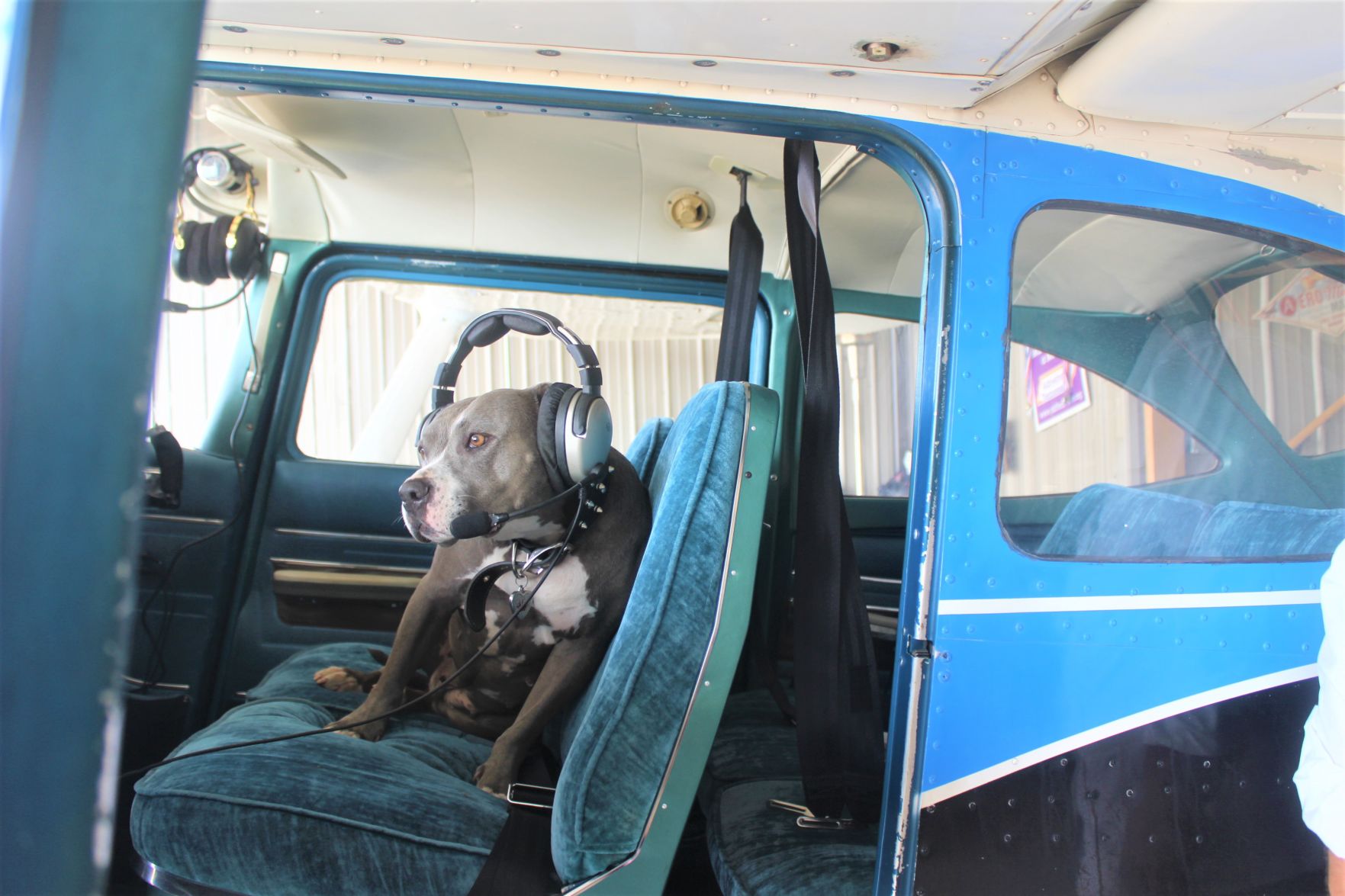 Karma in plane.JPG